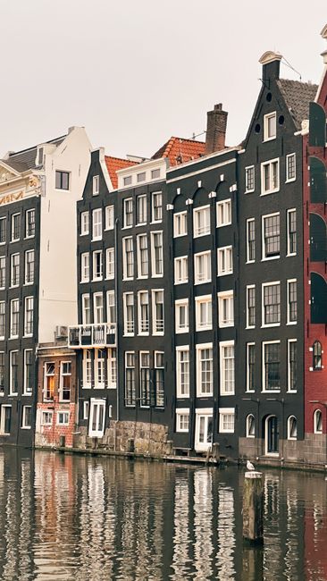 Amsterdamse grachtenpanden, coffeeshop of cannabis social club